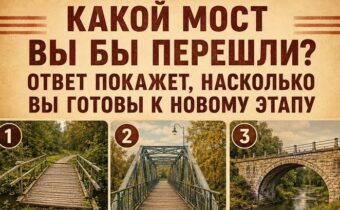 Какой мост вы бы перешли? Ответ покажет, насколько вы готовы к новому этапу
