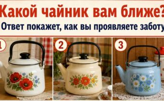 Какой чайник вам нравится? Ответ покажет, что люди чувствуют рядом с вами