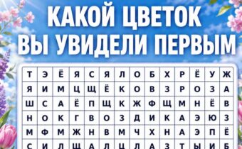 Какой цветок вы увидели первым? Психологический тест раскроет вашу главную эмоциональную потребность