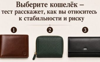 Выберите кошелёк — и узнайте, как вы относитесь к стабильности и риску