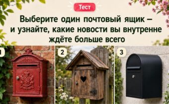 Тест: выберите почтовый ящик и узнайте, какие новости вы внутренне ждёте больше всего