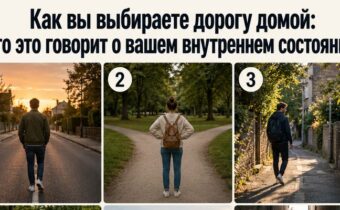 Как вы выбираете дорогу домой: что это говорит о вашем внутреннем состоянии