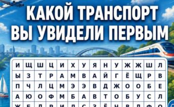 Какой транспорт вы увидели первым? Психологический тест покажет, как вы сейчас движетесь по жизни
