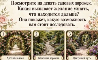 Выберите садовую дорожку — и узнайте, какую возможность вам сейчас стоит исследовать