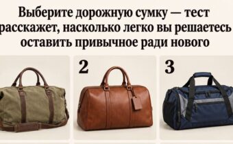 Выберите дорожную сумку — тест расскажет, насколько легко вы решаетесь оставить привычное ради нового