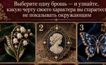 Выберите одну брошь — и узнайте, какую черту своего характера вы стараетесь не показывать окружающим