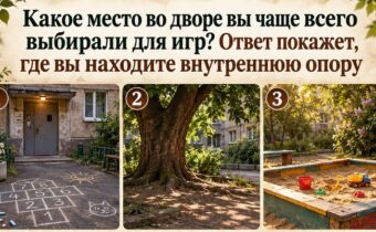 Какое место во дворе вы чаще всего выбирали для игр? Ответ покажет, где вы находите внутреннюю опору