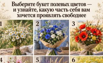 Выберите букет полевых цветов. Ответ раскроет, какой части вашей личности не хватает свободы