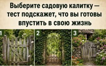Выберите садовую калитку — тест подскажет, что вы готовы впустить в свою жизнь