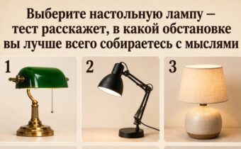 Выберите настольную лампу — тест расскажет, в какой обстановке вы лучше всего собираетесь с мыслями