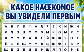 Какое насекомое вы увидели первым? Психологический тест раскроет вашу скрытую стратегию поведения