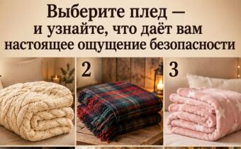 Выберите плед — и узнайте, что даёт вам настоящее ощущение безопасности