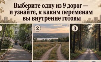 Выберите одну из 9 дорог — и узнайте, к каким переменам вы внутренне готовы