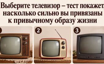 Выберите телевизор — тест покажет, насколько сильно вы привязаны к привычному образу жизни
