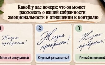 Какой у вас почерк: что он может рассказать о вашей собранности, эмоциональности и отношении к контролю